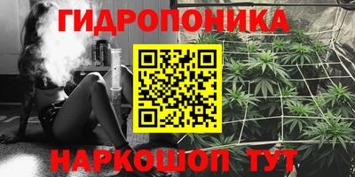 крисы Ливны