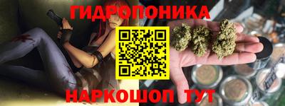 a pvp Лесосибирск