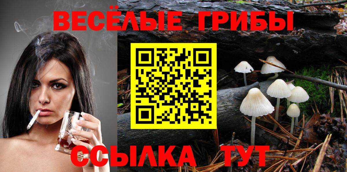 Псилоцибиновые грибы мицелий  Псилоцибиновые грибы GOLDEN TEACHER  Лениногорск  Вход с VPN 